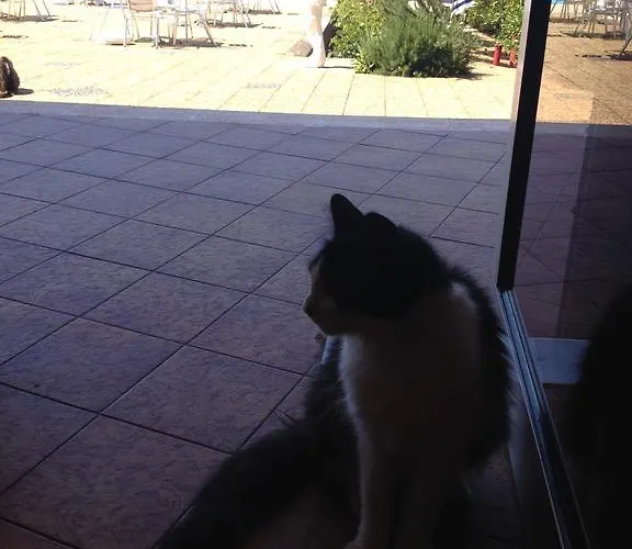 Celine Coti-Chiavari (Corsica)